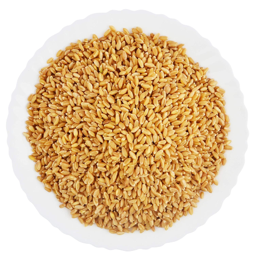 LOOSE WHEAT SEEDS