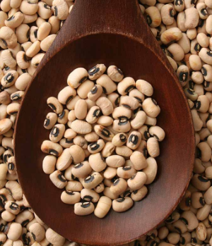 LOOSE CUT ALACHANDALU